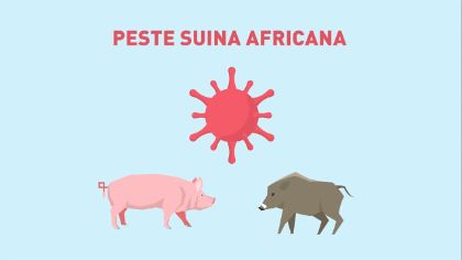 Ordinanza del Commissario straordinario alla Peste suina africana Ordinanza del Commissario straordinario alla Peste suina africana